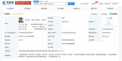 馬化騰任騰訊科技寶安分公司負(fù)責(zé)人，聚焦信息系統(tǒng)集成服務(wù)發(fā)展