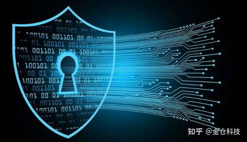 Web3.0、IPFS與Filecoin的協(xié)同演進(jìn) 信息系統(tǒng)集成服務(wù)的視角